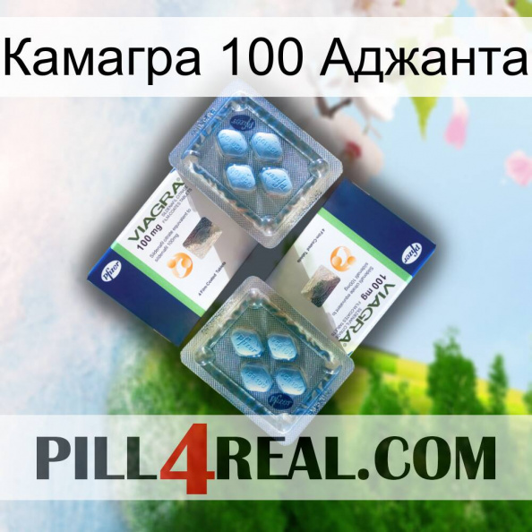 Камагра 100 Аджанта viagra5.jpg